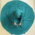 Namaz Chadar with Sleeves