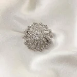 Sparkling Silver Brooch