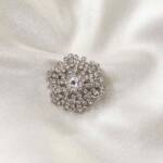 Sparkling Silver Brooch