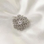 Sparkling Silver Brooch