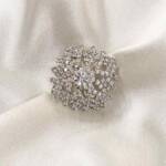 Sparkling Silver Brooch
