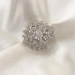 Sparkling Silver Brooch