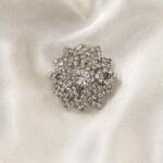 Sparkling Silver Brooch