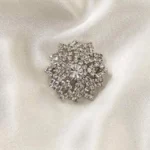 Sparkling Silver Brooch