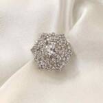 Sparkling Silver Brooch Clothifydotpk