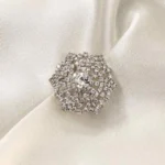 Sparkling Silver Brooch Clothifydotpk
