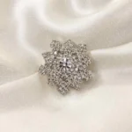 Sparkling Silver Brooch