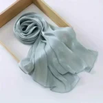 Organza Silk Hijab Clothifydotpk