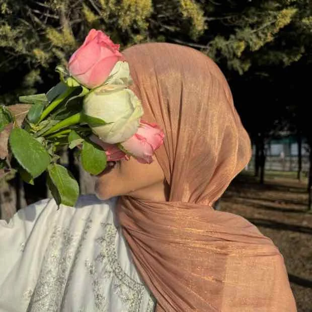 Organza Silk Hijab Clothifydotpk