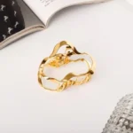 Gold fancy hair catcher clip Clothifydotpk